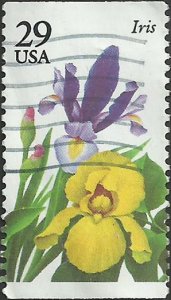 # 2763 USED IRIS    