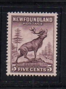 Newfoundland Sc 191 1932 5c Caribou stamp mint