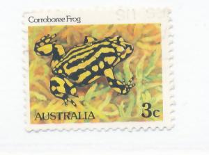 Australia 1981  Scott 785 used - 3c, Corroboree Frog