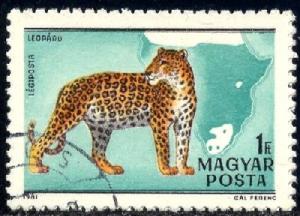 Wildcat, Leopard, Hungary SC#C427c used