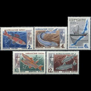 RUSSIA 1966 - Scott# 3240-4 Fish Set of 5 LH