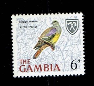 GAMBIA SCOTT#221 1966 6d BRUCE'S GREEN PIGEON - MNH