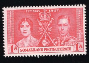 Somaliland Scott #81-82-83 Stamp - Mint Set