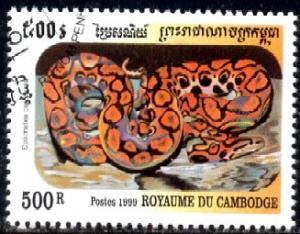 Snake, Rainbow Boa, Cambodia stamp SC#1861 Used