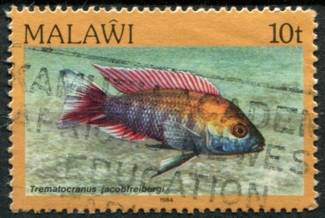 Malawi Sc#432 Used, 10t multi, Fish Definitives 1984-86 (1984)