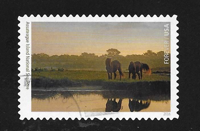 SC# 5080f (47c) National Parks: #6 of 16 Assateague, used off paper