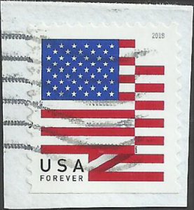 # 5263 Used US Flag