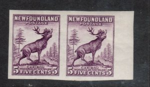 Newfoundland #191b Extra Fine Never Hinged Imperf Pair