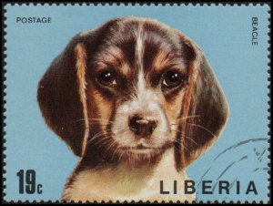 Liberia 672 - Cto - 19c Beagle (1974)