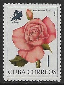 Cuba # 973 - Dog Rose - MNH.....{R1}