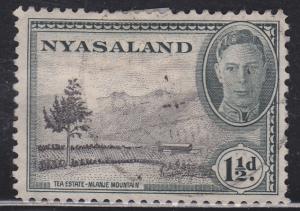 Nyasaland Protectorate 70 Tea Plantation 1945