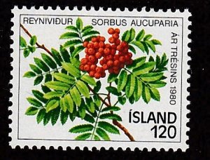 Iceland #  530, Mountain Ash & Berries, Mint nH