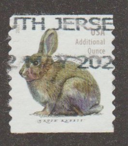 USA 5545 Rabbit