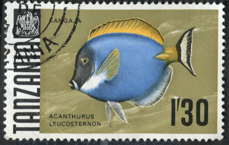 Tanzania  28-34 Used