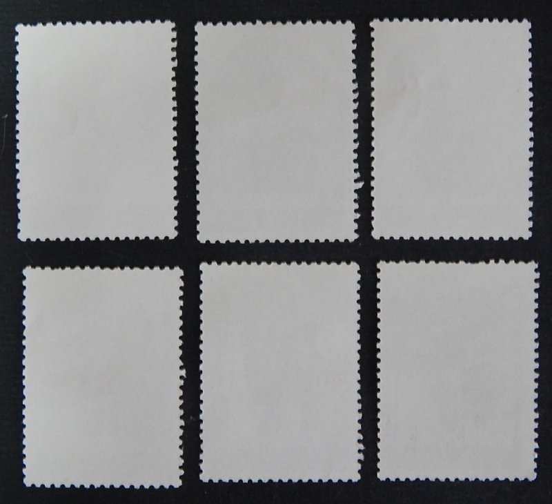 Mushrooms, (2397-Т)