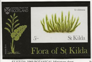 GB Scotland  local issue St Kilda  1969 Botanical miniature sheet   MNH