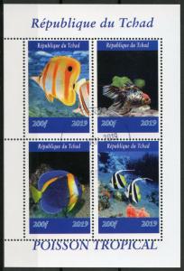 Chad 2019 CTO Tropical Fish Tang 4v M/S II Poisson Fishes Marine Stamps