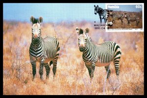 Namibia 694-697 Zebras Set of Four Maxi Cards U/A FDC