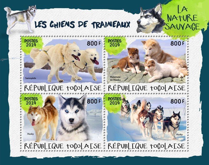 TOGO - 2019 - Sledge Dogs #1 - Perf 4v Sheet - Mint Never Hinged