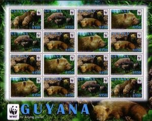 Guyana WWF Bush Dog sheetlet of 4 sets /16v ERROR