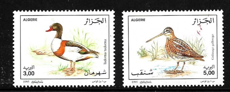 #8063 ALGERIA 1996 FAUNA,BIRDS YV 1103-4 MNH