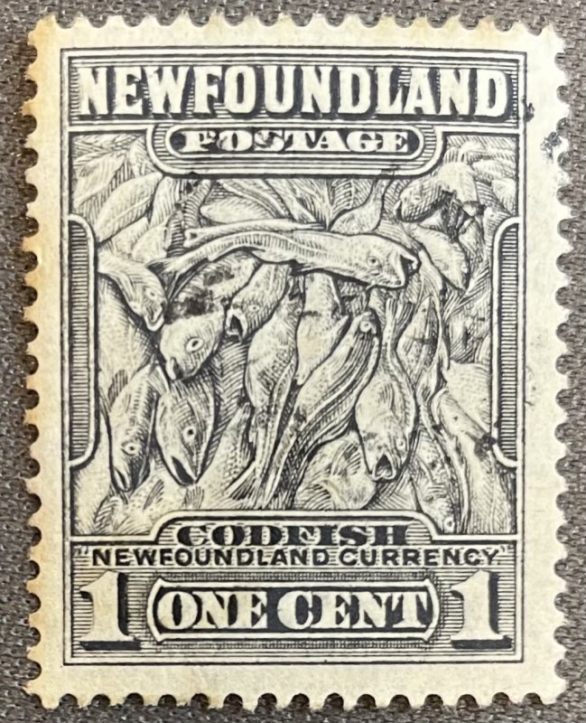 Newfoundland # 253 Used