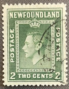 Newfoundland # 254 Used
