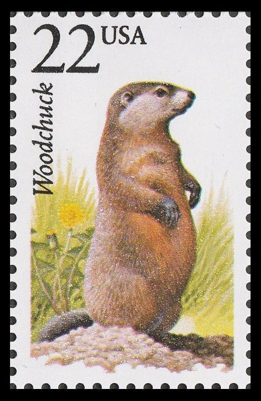 2307 Woodchuck North American Wildlife MNH single