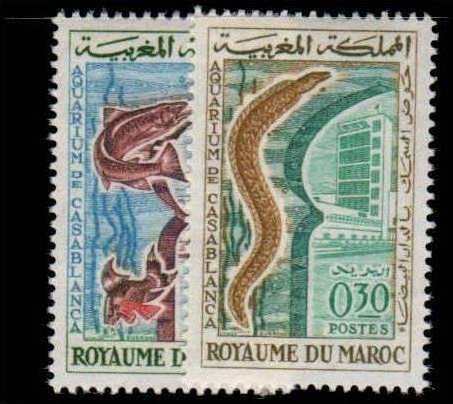 MOROCCO 1962 AQUARIUM MLH**