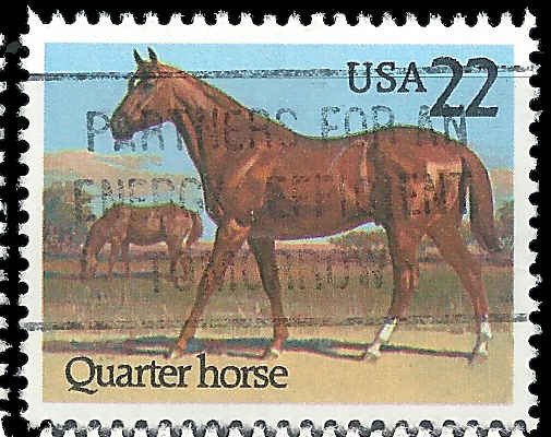 US - #2155 - Used - SCV-0.25