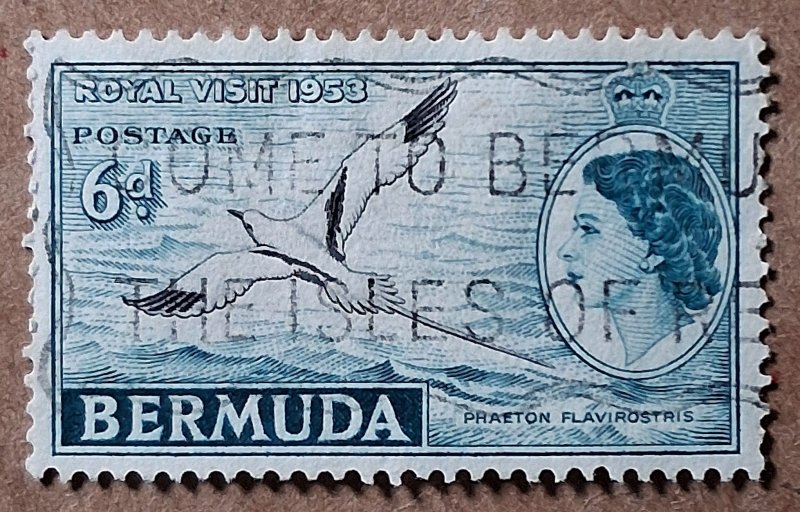 Bermuda #152 6d Yellow-tailed Tropic Bird & Queen Elizabeth II USED (1953)