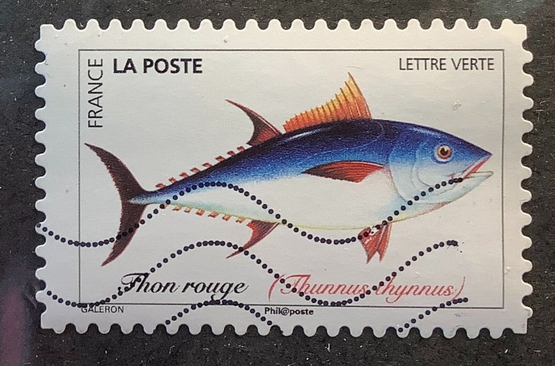 France 2019 Scott 5606 used - Ocean Fish, Atlantic Bluefin Tuna, Thon Rouge
