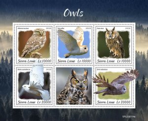 Sierra Leone Birds on Stamp 2020 MNH Owls Little Snowy Barn Owl 5v M/S