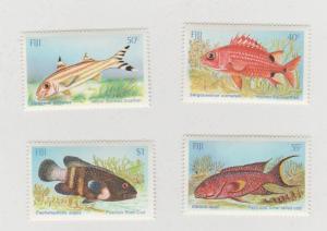 FIJI  FISH