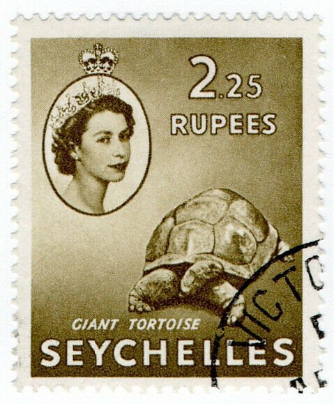 (I.B) Seychelles Postal : 2R25 Olive (SG 186)