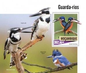 Mozambique - 2020 Kingfisher Birds - Stamp Souvenir Sheet - MOZ200103b