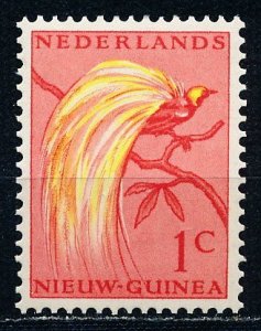 Netherlands New Guinea #22 Single MNH