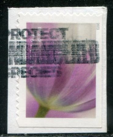 5782 US (63c) Tulip Blossoms - lilac SA bklt, used on paper