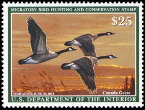 RW84, Mint NH 2018 Canada Geese Federal Duck Stamp - Stuart Katz