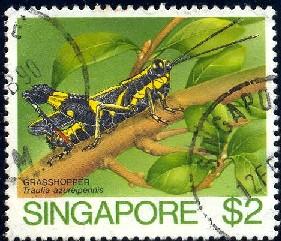 Insect, Grasshopper, Singapore stamp SC#462 used