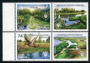 1136 SERBIA 2017 - European Nature Protection - Bird - Duck - MNH Set + Label