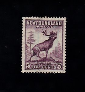 Newfoundland Scott #191 Used