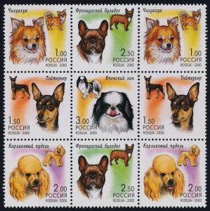 Russia 6598f block MNH Dogs