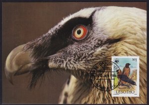 Lesotho - 1986 - Scott #515 - First Day maximum card - Bird Bearded Vulture