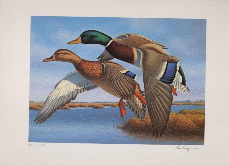 FLORIDA #9 1987 STATE DUCK STAMP PRINT MALLARDS by  Ronald Louque