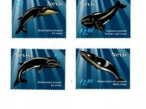 Nevis - 2010 - Whales - Set of Four  - MNH