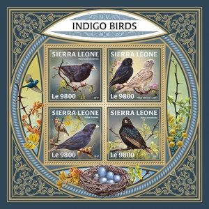 [950 02]- YEAR 2017 - SIERRA LEONE - BIRDS     4V   complet set  MNH/**