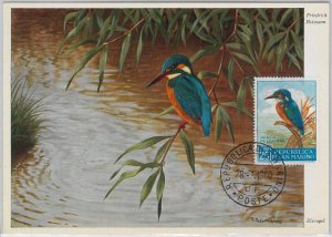 52666 - SAN MARINO - MAXIMUM CARD - ANIMALS BIRDS KINGFISHER 1960-