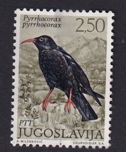 Yugoslavia   #1104  used 1972  birds 2.50d