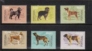 PORTUGAL SET PORTUGUESE KENNEL CLUB 50th ANV.(1981) MNH